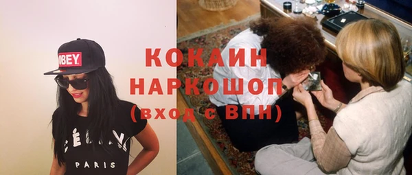 твердый Алексеевка