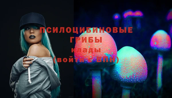 винт Алзамай