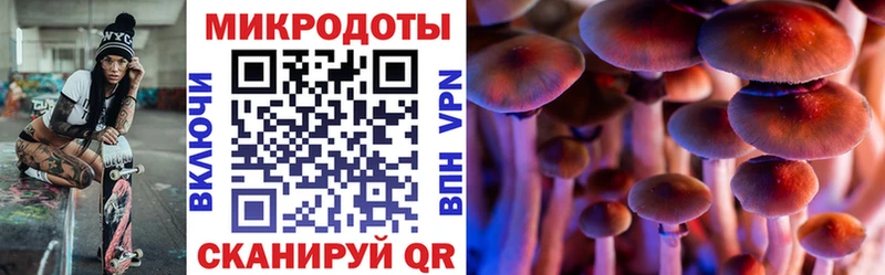 Галлюциногенные грибы GOLDEN TEACHER  Красково 